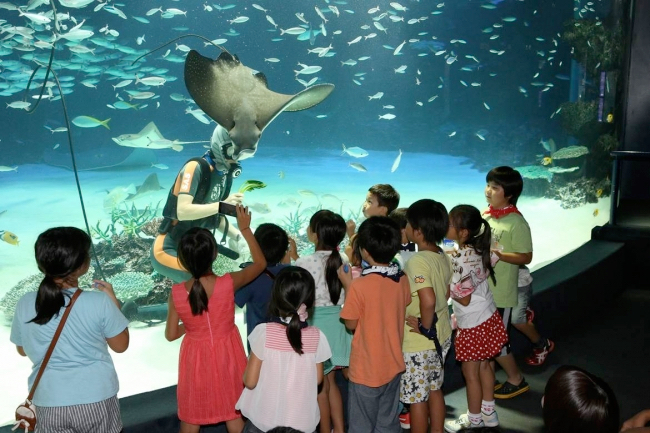 サンシャイン水族館18 親子で館内を探検 水槽前で就寝 夜の水族館 80組募集